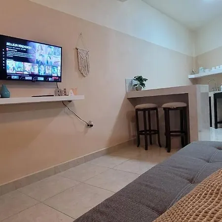 Estudio Balandra Cerca Del Aeropuerto Sjd